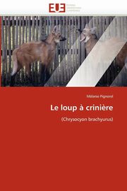 Le loup ? crini?re, PIGNOREL-M