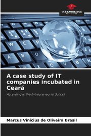 A case study of IT companies incubated in Cear, Brasil Marcus Vinicius de Oliveira