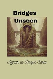 Bridges Unseen, Sario Azhar ul Haque