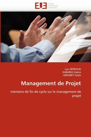 Management de projet, Collectif