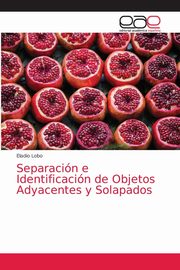 Separacin e Identificacin de Objetos Adyacentes y Solapados, Lobo Eladio