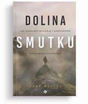 Dolina smutku, Medley Mark