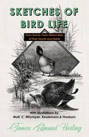 Sketches of Bird Life - From Twenty Years Observation of Their Haunts and Habits - With Illustrations by Wolf, C. Whymper, Keulemans, and Thorburn, Harting James Edmund