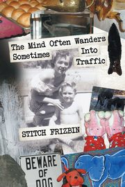 The Mind Often Wanders Sometimes Into Traffic, Frizbin Stitch