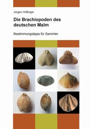 Die Brachiopoden des deutschen Malm, Hflinger Jrgen