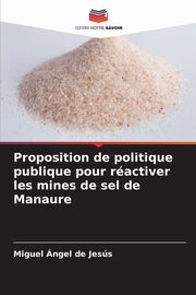 Proposition de politique publique pour ractiver les mines de sel de Manaure, ngel de Jess Miguel