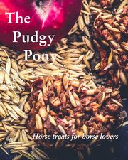 The Pudgy Pony, Robinson Jordanna