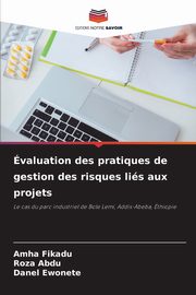 valuation des pratiques de gestion des risques lis aux projets, Fikadu Amha