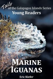 Marine Iguanas - Tails of the Galapagos Islands Series, Kiefer Eric