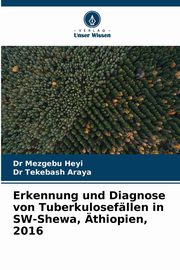 Erkennung und Diagnose von Tuberkulosefllen in SW-Shewa, thiopien, 2016, Heyi Dr Mezgebu