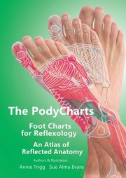 The PodyCharts Foot Charts for Reflexology, Trigg Annie