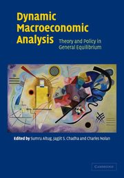 Dynamic Macroeconomic Analysis, 