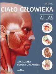 Ciao czowieka Atlas, Ashwell Ken