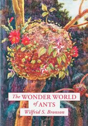 ksiazka tytu: The Wonder World of Ants autor: Bronson Wilfrid S.