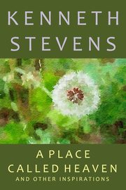 ksiazka tytu: A Place Called Heaven autor: Stevens Kenneth
