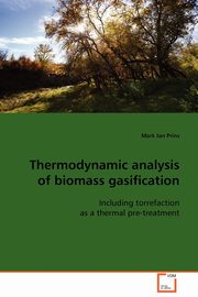 Thermodynamic analysis of biomass gasification, Prins Mark Jan