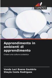 Apprendimento in ambienti di apprendimento, Gautrio Vanda Leci Bueno