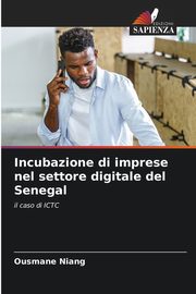 Incubazione di imprese nel settore digitale del Senegal, Niang Ousmane
