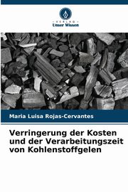 Verringerung der Kosten und der Verarbeitungszeit von Kohlenstoffgelen, Rojas-Cervantes Maria Luisa
