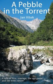 A Pebble in the Torrent, Vitek Jan