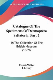 Catalogue Of The Specimens Of Dermaptera Saltatoria, Part 2, Walker Francis