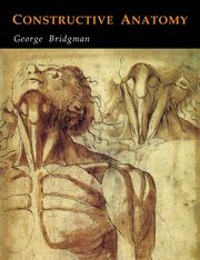 Constructive Anatomy, Bridgman George B.