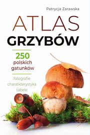 Atlas grzybw, Zarawska Patrycja