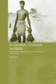 A Colonial Economy in Crisis, Brown Ian