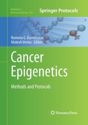Cancer Epigenetics, 