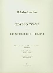 ksiazka tytu: dbo czasu Lo stelo del tempo autor: Lemian Bolesaw