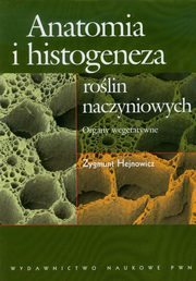 Anatomia i histogeneza rolin naczyniowych, Hejnowicz Zygmunt