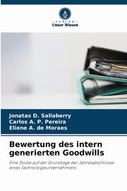 Bewertung des intern generierten Goodwills, Sallaberry Jonatas D.
