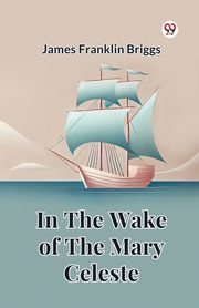 In The Wake Of The Mary Celeste, Briggs James Franklin