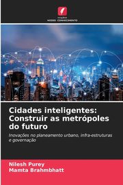 Cidades inteligentes, Purey Nilesh
