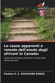 Le cause apparenti e remote dell'esodo degli africani in Canada, ASSOUGNA BINDZI Pauline G. E.