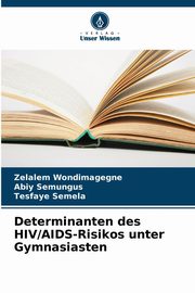 Determinanten des HIV/AIDS-Risikos unter Gymnasiasten, Wondimagegne Zelalem