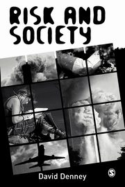 Risk and Society, Denney David