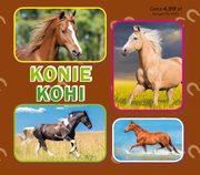 Konie. ????, Praca zbiorowa