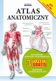 Atlas anatomiczny, 