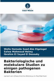 Bakteriologische und molekulare Studien zu einigen pathogenen Bakterien, Abo Elgalagel Walla Hamada Saad