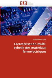 Caractrisation multi-chelle des matriaux ferrolectriques, HAJJAJI-a