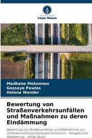 Bewertung von Straenverkehrsunfllen und Manahmen zu deren Eindmmung, Mekonnen Medhane