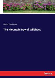 The Mountain Boy of Wildhaus, Van Horne David