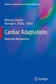 Cardiac Adaptations, 