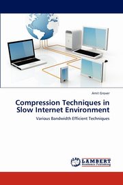 Compression Techniques in Slow Internet Environment, Grover Amit