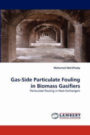 Gas-Side Particulate Fouling in Biomass Gasifiers, Abd-Elhady Mohamed