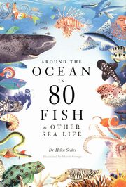 ksiazka tytu: Around the Ocean in 80 Fish and other Sea Life autor: Scales Helen