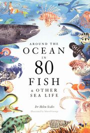 Around the Ocean in 80 Fish and other Sea Life, Scales Helen