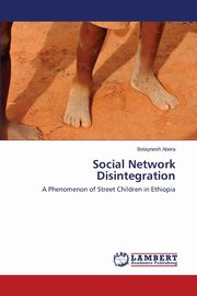Social Network Disintegration, Abera Belaynesh