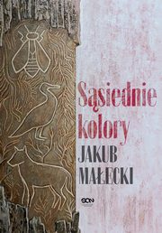 Ssiednie kolory, Maecki Jakub